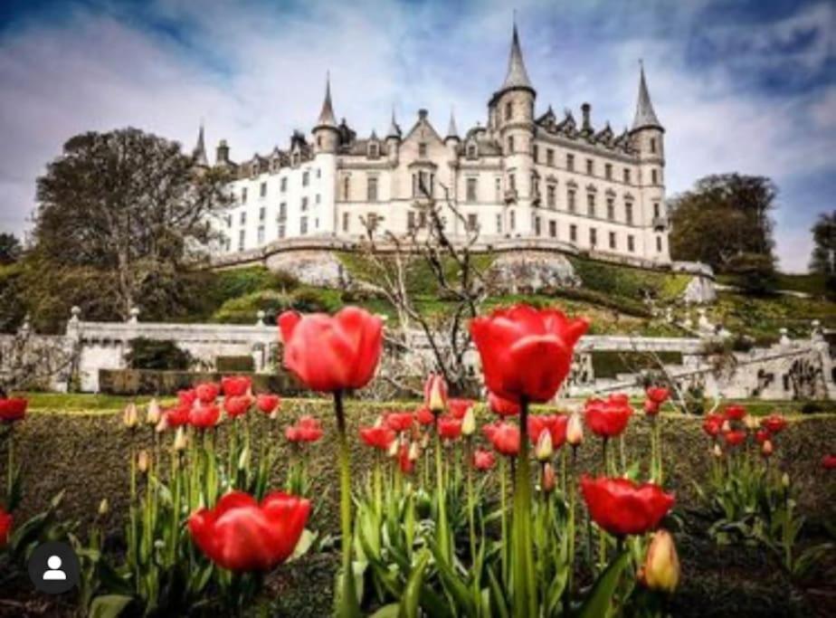 Frasers Apartment Golspie Dış mekan fotoğraf